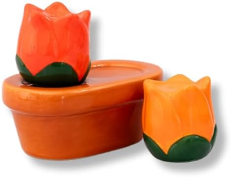 bando Novelty Tulip Salt and Pepper Shakers Set
