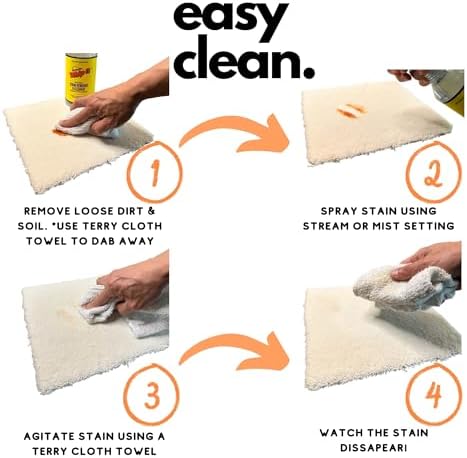 Whip-It Stain Remover and Concentrate Kit
