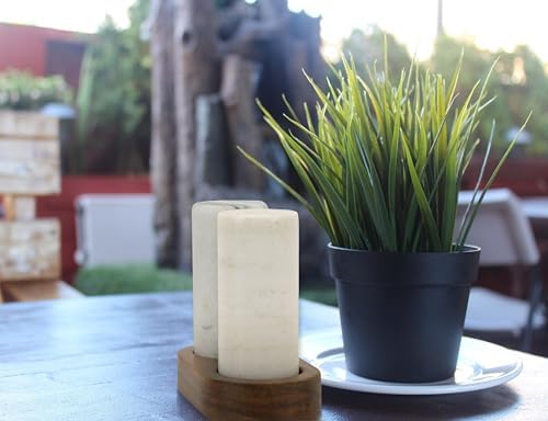 Spiretro Elegant Marble Salt and Pepper Shaker Set with Acacia Wood Holder