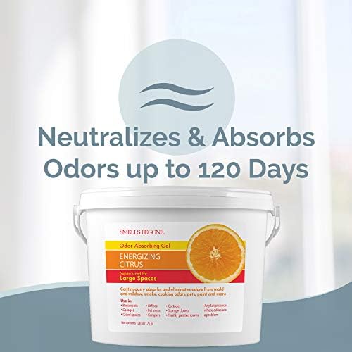 SMELLS BEGONE 1-Gallon Odor Absorber Gel - Citrus Scent
