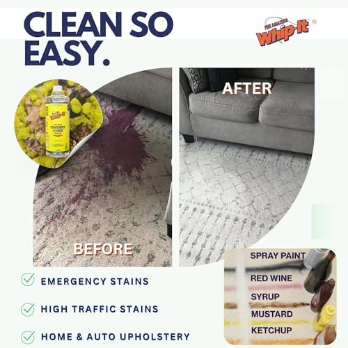 Whip-It Stain Remover and Concentrate Kit