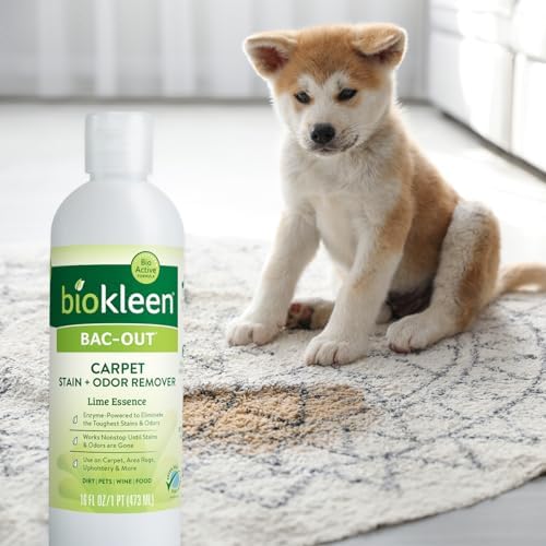 Biokleen Bac-Out Enzymatic Stain Remover - 2 Pack 32 oz with Micro Towel