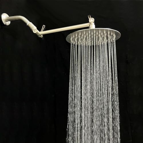 Eolax 8 Inch Chrome Shower Arm and Flange with Flange