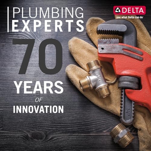 Delta In2ition 2-in-1 Dual Shower Head with Handheld Spray