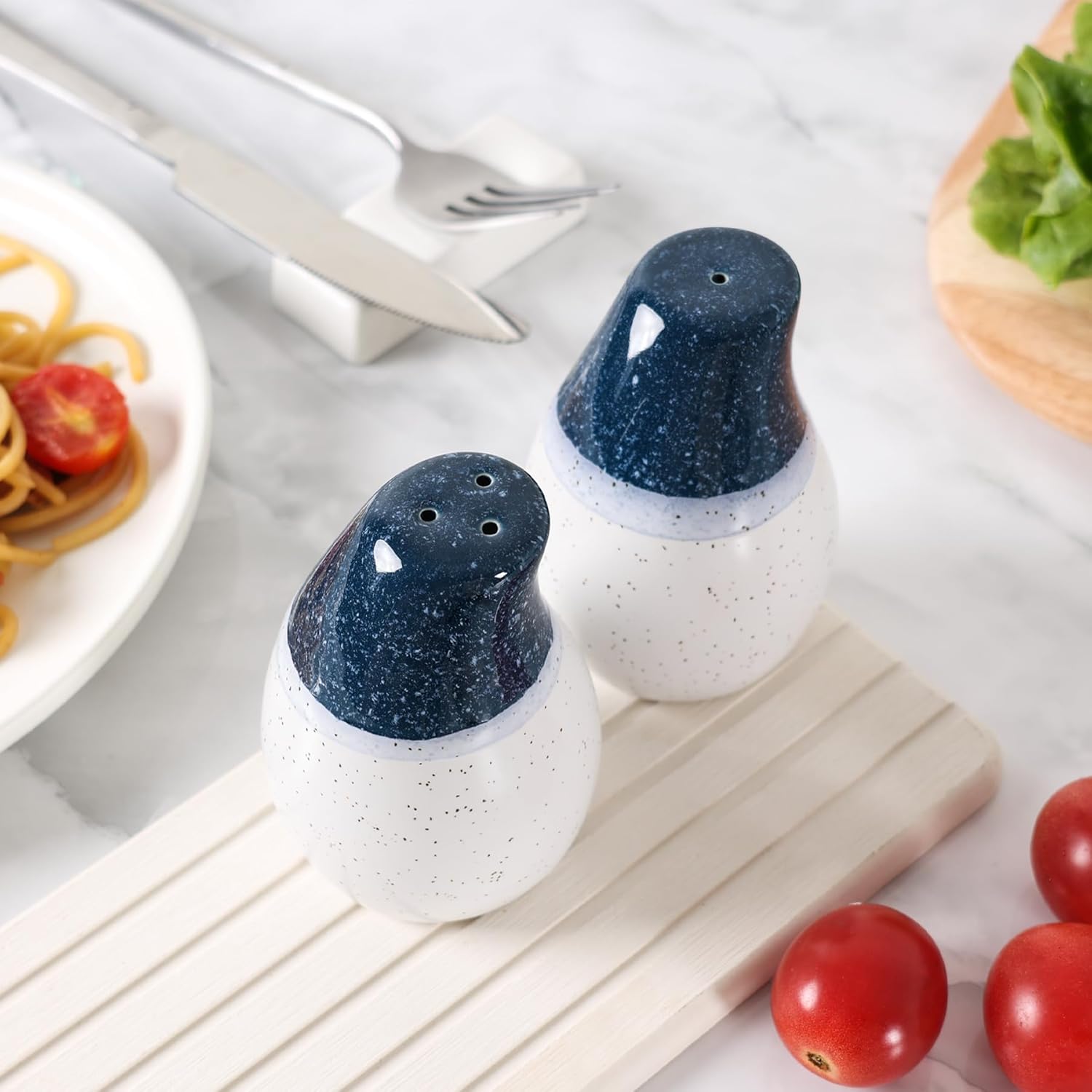 ZEBERBO Ceramic Salt Pepper Shaker Set - Blue White Farmhouse Style