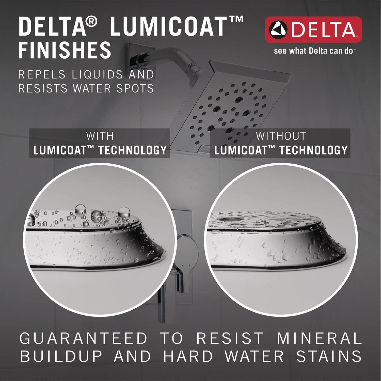 Delta In2ition 2-in-1 Dual Shower Head with Handheld Spray