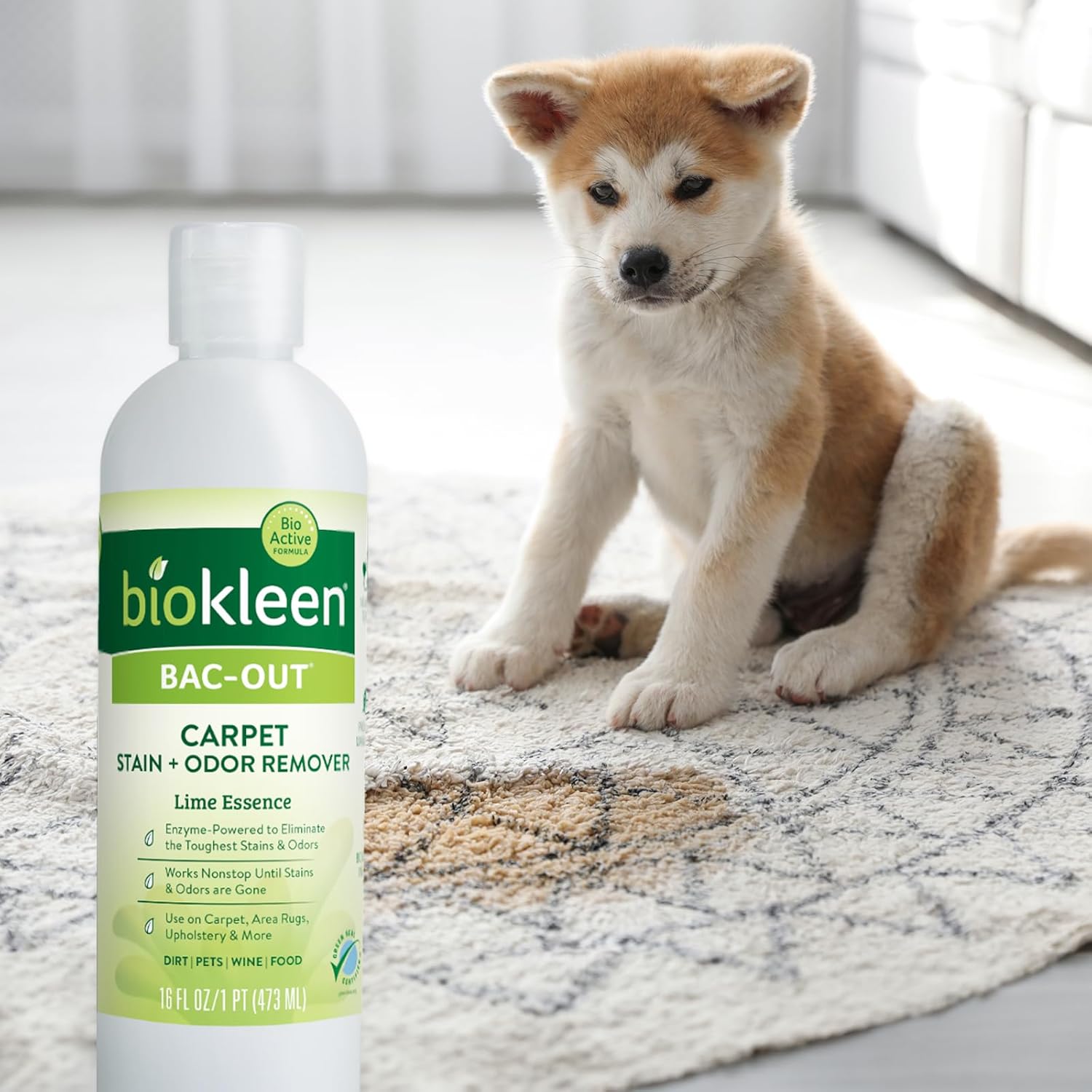 Biokleen Bac-Out Enzymatic Stain Remover - 2 Pack 32 oz with Micro Towel