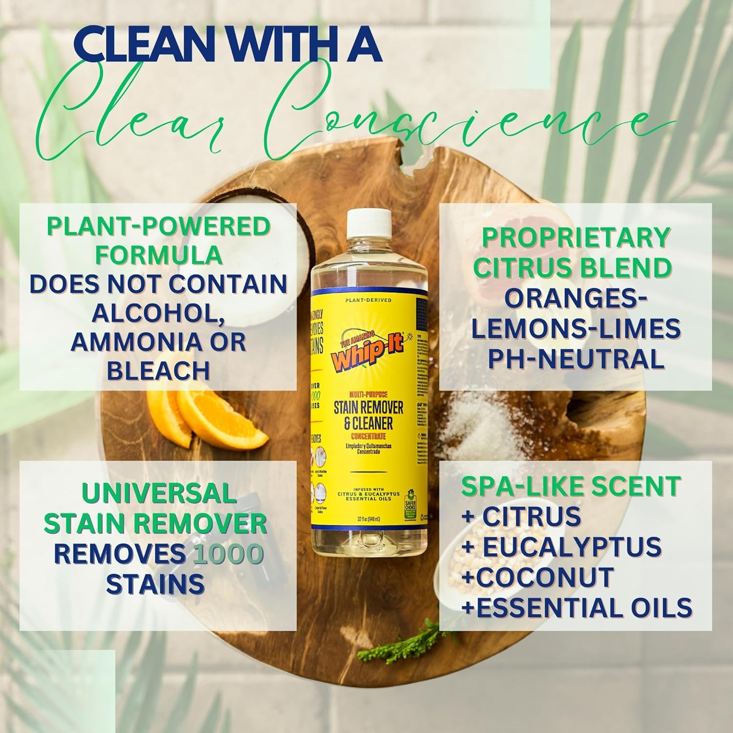 Whip-It Stain Remover and Concentrate Kit