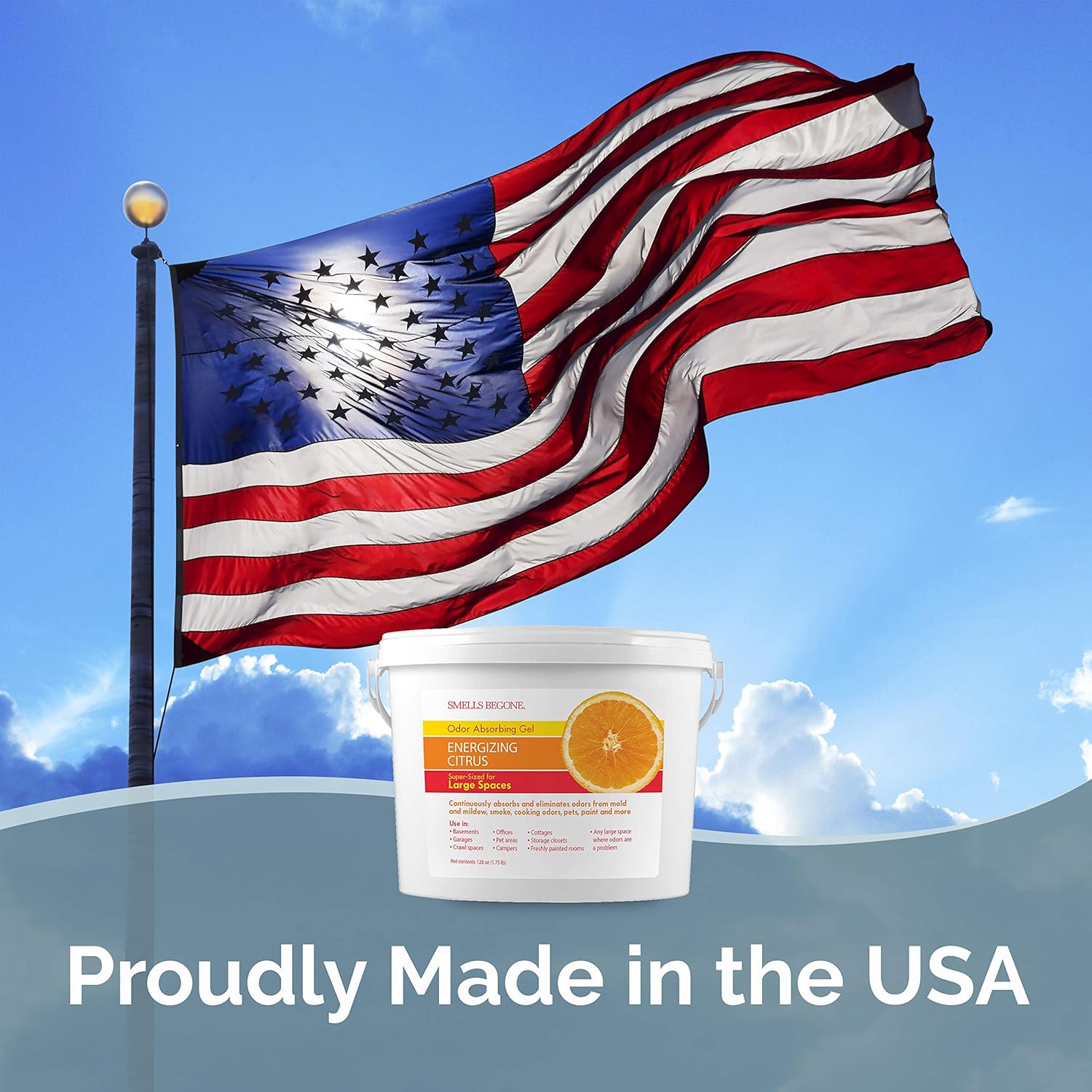 SMELLS BEGONE 1-Gallon Odor Absorber Gel - Citrus Scent