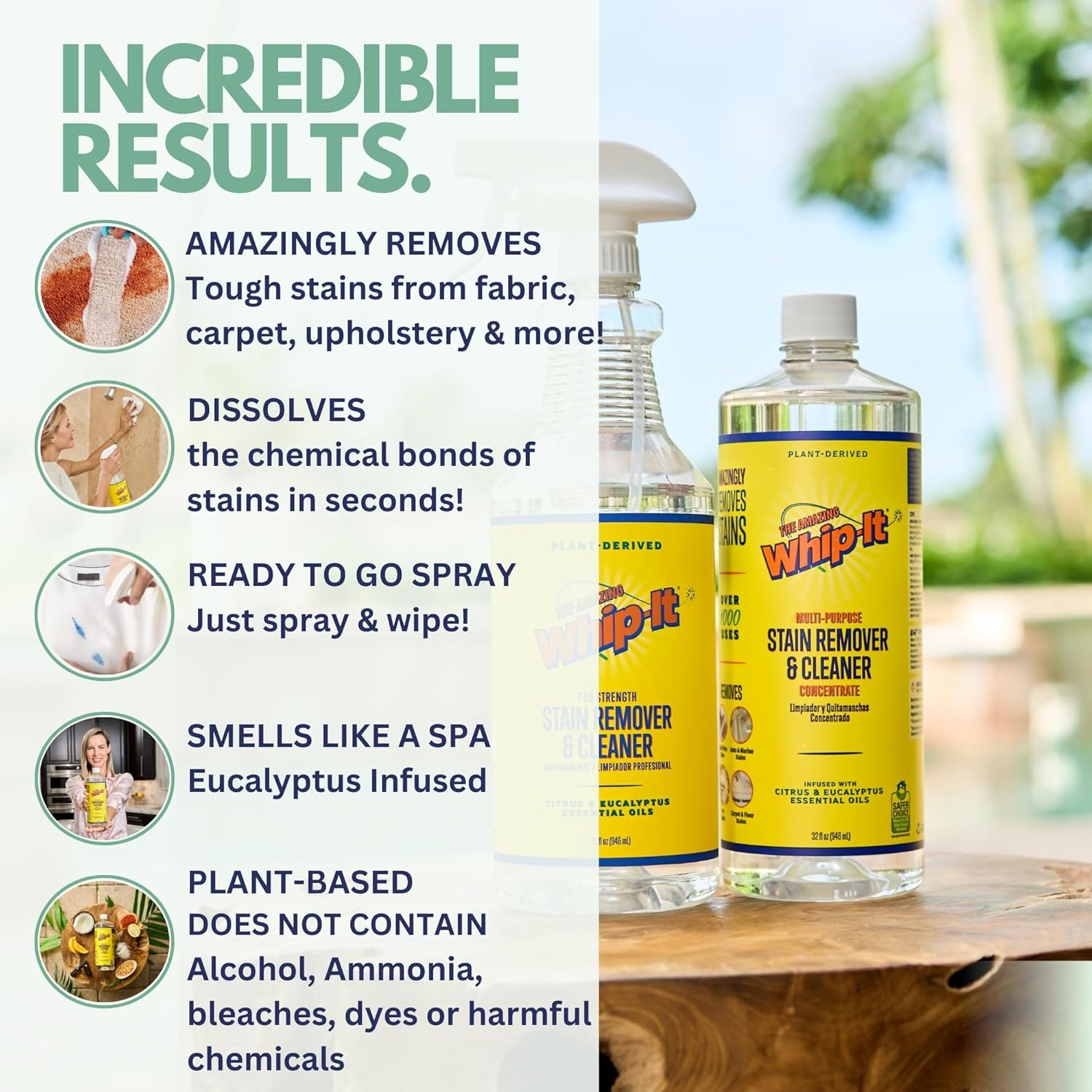 Whip-It Stain Remover and Concentrate Kit