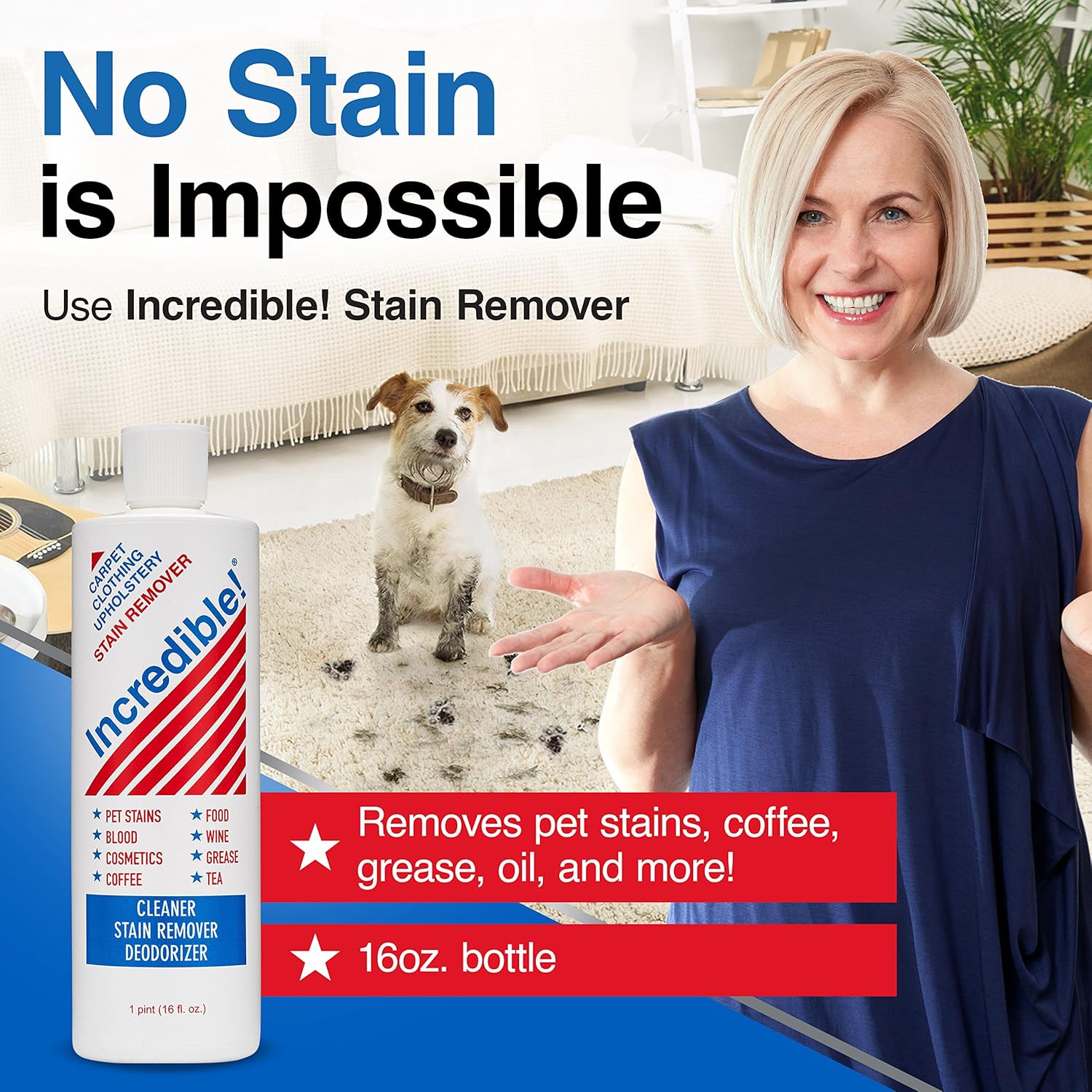 Incredible Stain Remover - Pack of 6 16 oz